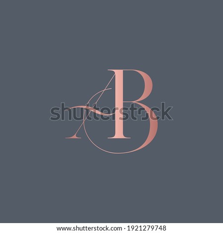 alphabet letters monogram icon logo BA or AB