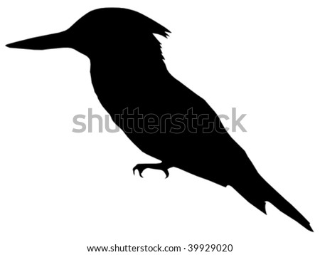 Silhouette Of Kingfisher Stock Vector Illustration 39929020 : Shutterstock