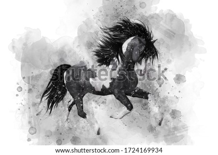 Black run horse in watercolor