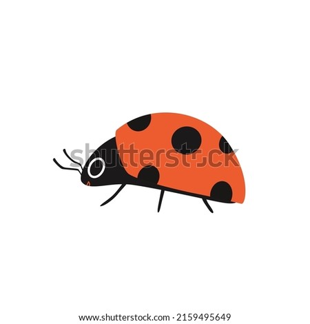 Cartoon ladybug with eyes on the side. Cute insect in flat design isolated. Vector illustration of a red spotted beetle on a white background.