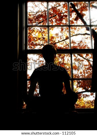 Silhouette of man in window