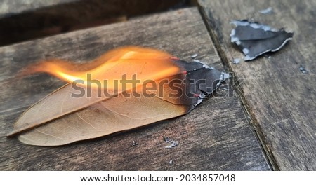 This is a photo of a dry leaf on fire Foto d'archivio © 