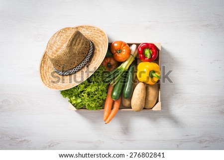 Freshly harvested vegetables in a wooden crate, top view