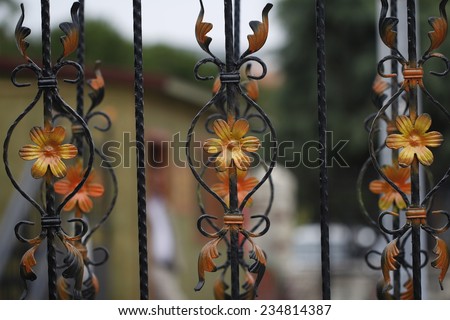 Forge Detail / Part of a wrought iron fence with yellow flowers ,/ design iron gate details