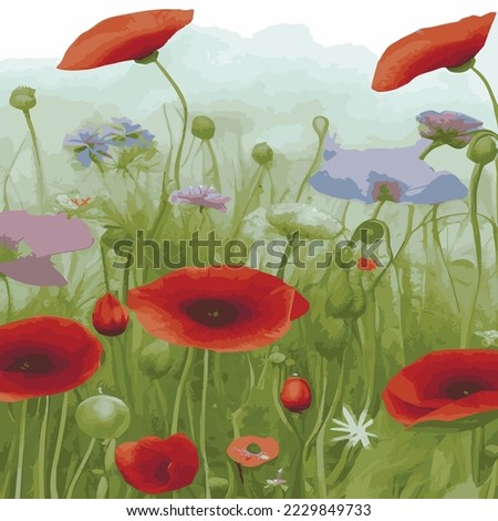 Watercolor illustration of wild poppy flowers. Red poppy flowers filed watercolor. Hand drawn illustration with detailed petals. Botanical painting for cards, wedding design