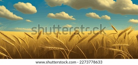 Large wheat thorns on a field on a beautiful nature and landscape in the sun. Extended rich harvest. Areas of agricultural production. Healthy food. Summer season and warm banner vector illustration
