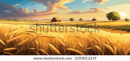 Wheat field sky with clouds. Countryside summer background gold colors grain nature. Health food poster. Barley vector illustration Autumn agriculture landscape banner