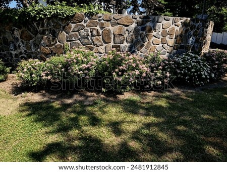 Similar – Image, Stock Photo Garden plot between two buildings in spring