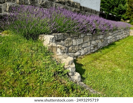 Similar – Foto Bild Bunte Wand mit Kanten und Ecken.