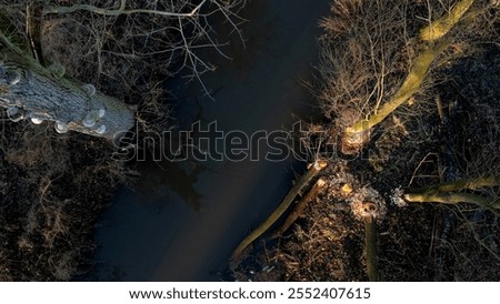 Similar – Image, Stock Photo Bank at the dike with branches and fog