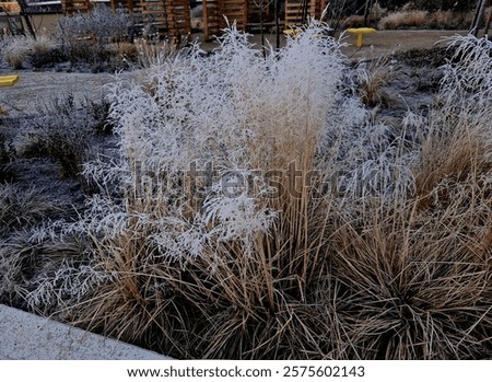 Similar – Image, Stock Photo tall large gray concrete building with empty windows