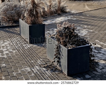 Similar – Foto Bild Gestapeltes trockenes graues Holz für den Kamin im Winter vor einer alten Scheune auf einem Bauernhof in Rudersau bei Rottenbuch im Kreis-Weilheim-Schongau in Oberbayern