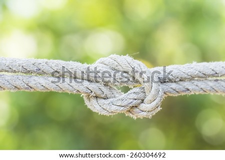 Rope and knot on Green light blurred background