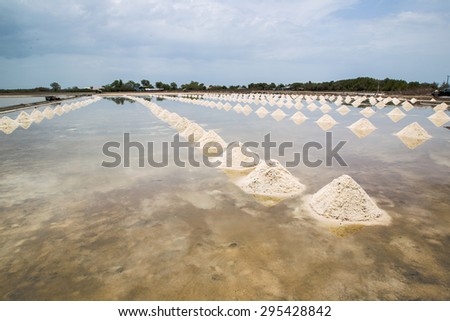 Mass of salt in the salt sea farm