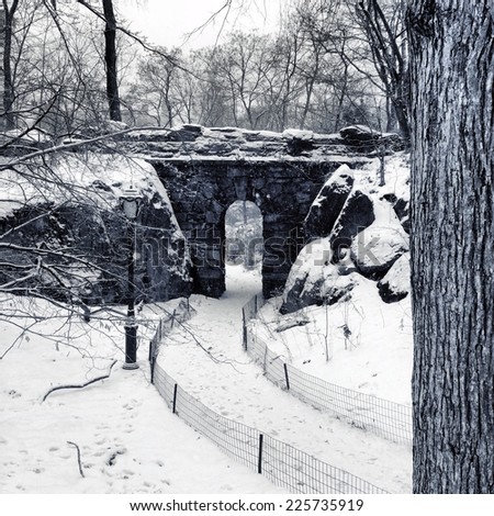 An archway bridge in a forest on a snowy day.
