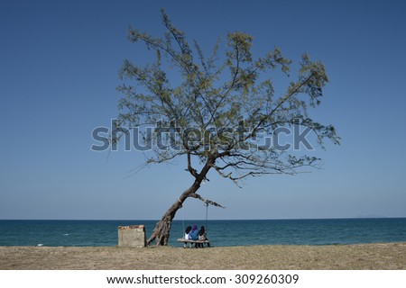 image of A person sit on the cradle next to a tree . Image has contain certain grain and soft focus