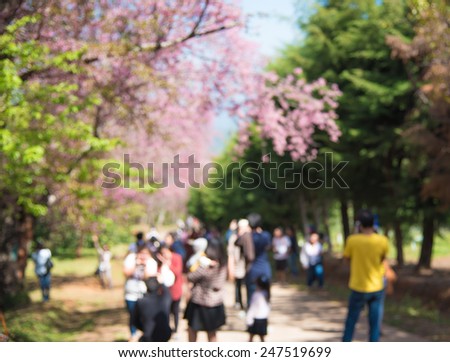Blurred Thailand cherry blossom on the high mountain ,people sight seeing and take photo