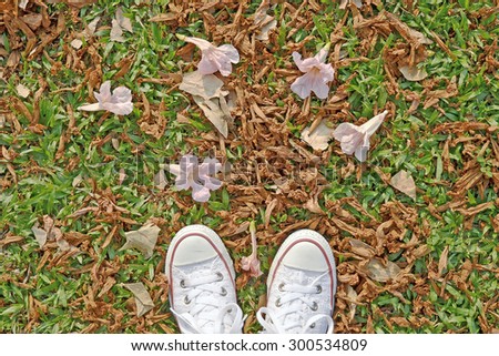 White Sneaker shoes on grass field. Canvas shoes on grass. Top view.