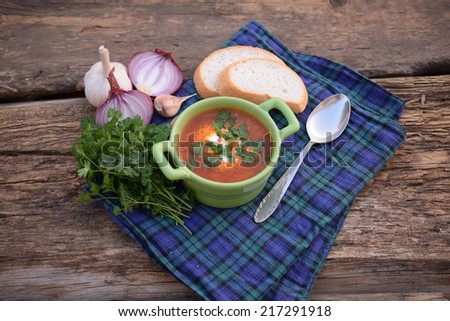 Red soup - borscht in a light green plate on a blue checkered cloth 2