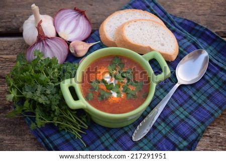 Red soup - borscht in a light green plate on a blue checkered cloth