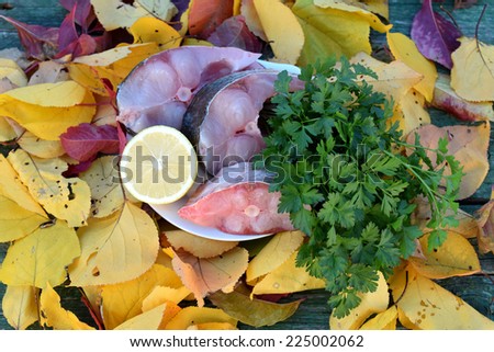 Portions of raw river fish with lemon and parsley on the yellow leaves