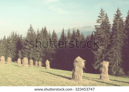 Polish Tatra Mountains, near the town of Zakopane view on haystacks on Gubalowka; vintage filter effect