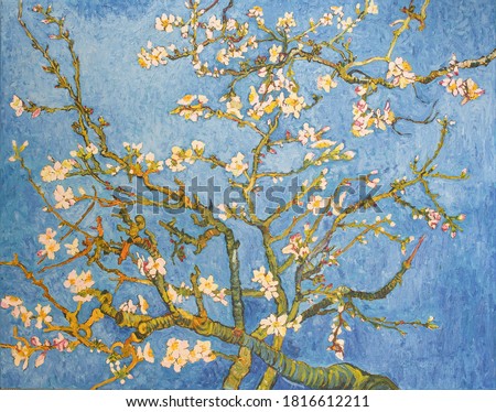 Blossoming Almond Tree. Beautiful oil painting on canvas. Based on the great painting by Van Gogh, 1890. Brush strokes and canvas textures .