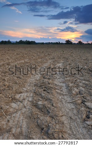 Vehicle tracks leading off into a barren field and disappearing into the distance with the sun setting in the background.