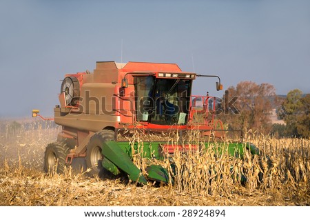 Combine Harvester Harvesting Dry Maize Crop