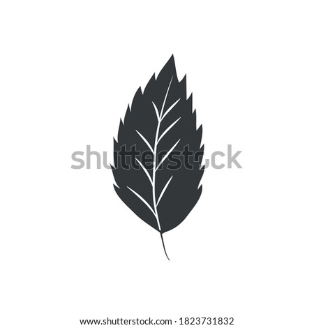 autumn leaves concept, elm leaf icon over white background, silhouette style, vector illustration