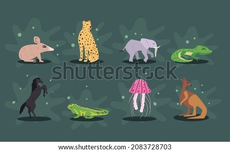 set of eight nice animals