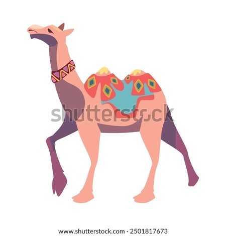 bikaner camel festival procession isolated