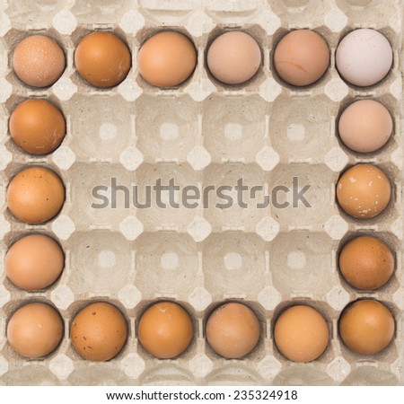 Eggs in a beige paper ecological cell container. Food packaging