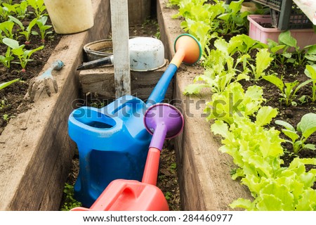 Two watering cans in the greenhouse near the growing lattice in the summer garden