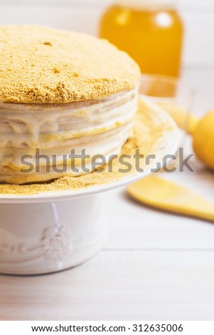 Honey cake with sour cream decorating with crumb