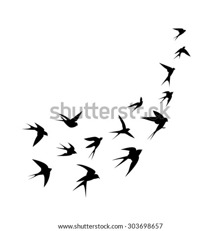 A flock of birds (swallows) go up. Black silhouette on a white background. Vector illustration. Stockfoto © 