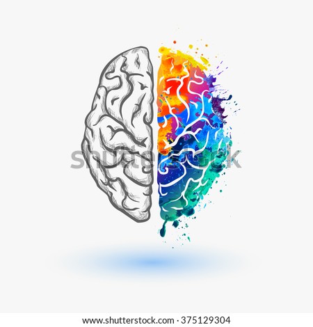 Left and right hemisphere of human brain