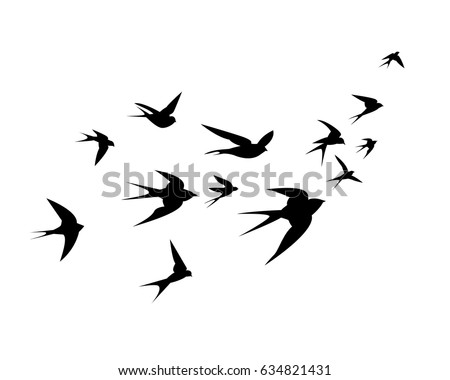 A flock of birds (swallows) go up. Black silhouette on a white background.  Stockfoto © 