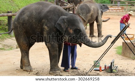 CHIANGMAI,THAILAND - August 2: Elephant drawing a picture on elephants show on August 2,2015 in Chiangmai ,Thailand Elephants show is a main attraction for tourists in this region.