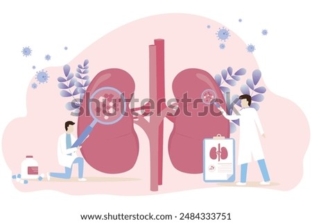 Nephrology vector illustration. The doctor examines and diagnoses urinary tract disease. kidney failure, kidney stones, Medical concept.