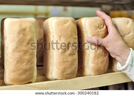 Bread in the man hands Bakery Stocks bread Manufacture of rusks. A loaf of bread in the hand. Manual production of bakery products. Bread by human hands. Man and bread The man on the bread production1