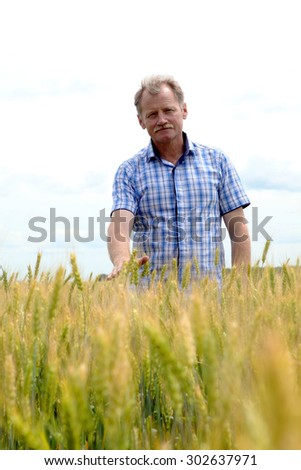Farmer checking soybean field. The unique technology of growing crops. Farmer sitting in the field on a background of wheat and soybeans. Golf bread. Growing non-GMO soybeans. Eco friendly product.1