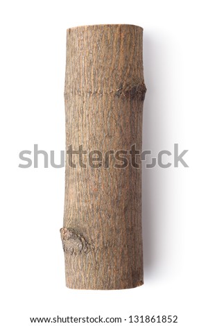 Wooden log. Top view. Isolated on a white. Foto stock © 