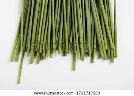 Green natural fibers backdrop, daffodil stems, cut flowers stalks ストックフォト © 