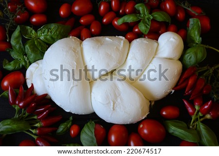 Mozzarella. A big fresh braid of Italian buffalo mozzarella on a background of currant tomatoes.