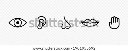 Five human senses icon set. Eye, nose, ear, hand, mouth with tongue sign. Sight, smell, hearing, touch, taste concept. Vector on isolated transparent background. EPS 10 Сток-фото © 