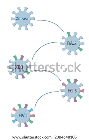 A schematic diagram shows the origin and evolution of a subvariant HV.1 from Omicron via BA.2, XBB, and EG.5. Omicron sublineages. Coronovirus icons with spike proteins of a different colors.