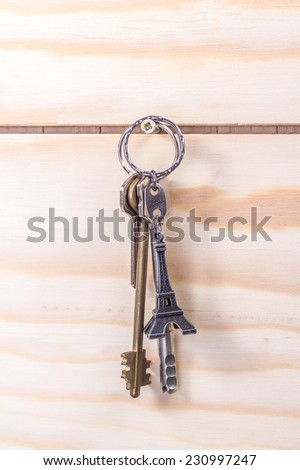 bunch of keys with keys - Eiffel Tower