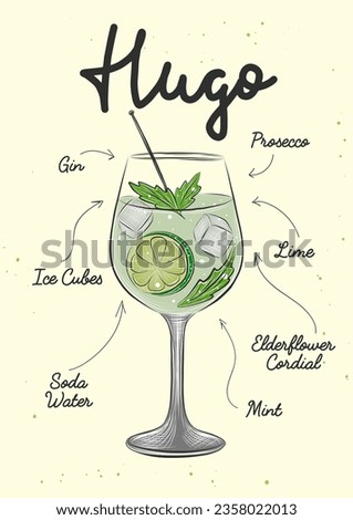 Vector engraved style Hugo cocktail illustration for posters, decoration, logo, menu and print. Hand drawn sketch with lettering and recipe, beverage ingredients. Detailed colorful drawing.