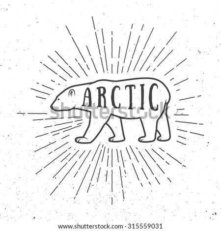 Vintage arctic white bear with slogan. Illustration
